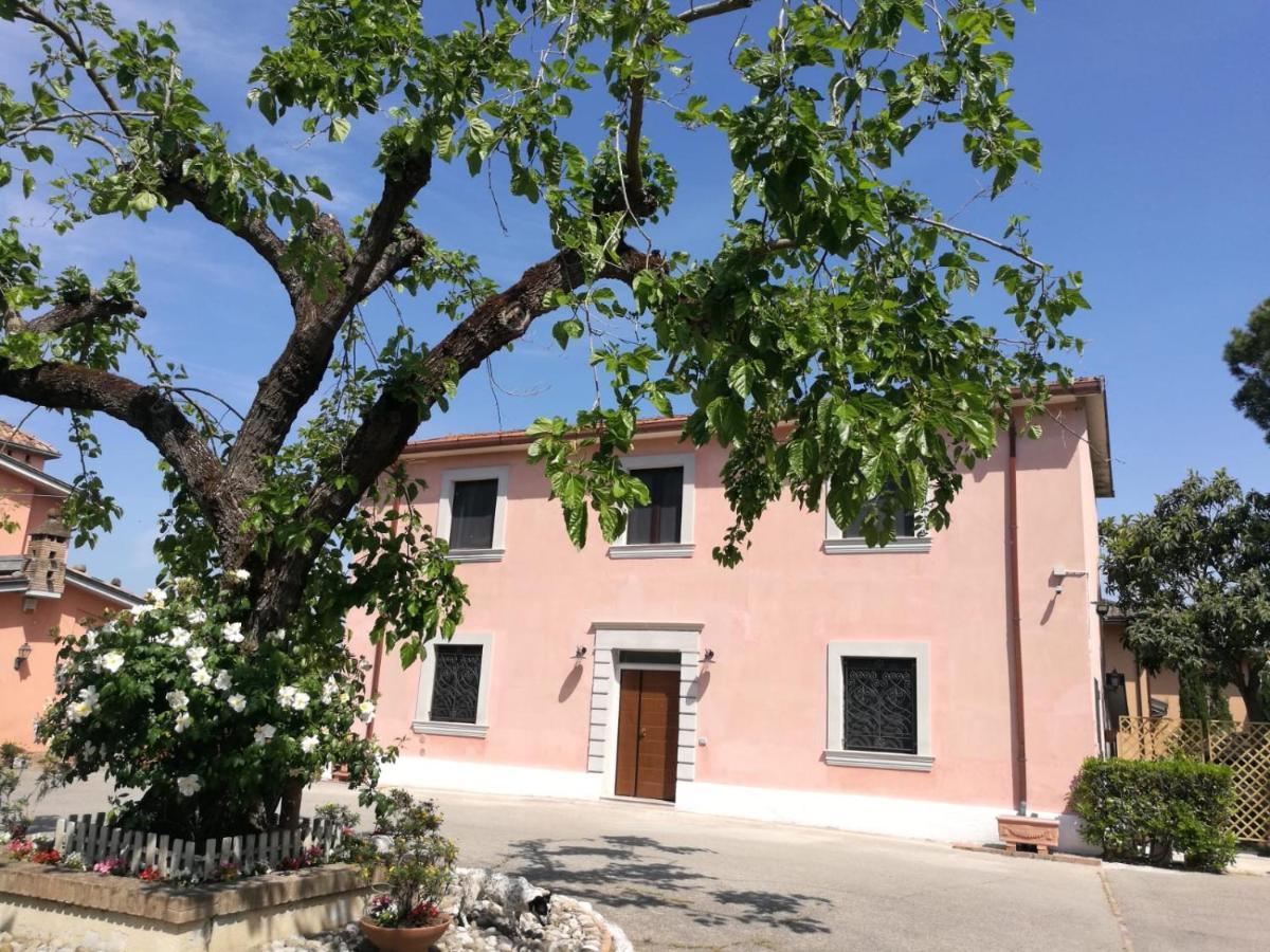 Bed and Breakfast Il Nido Della Colombaia à San Nicola Manfredi Extérieur photo